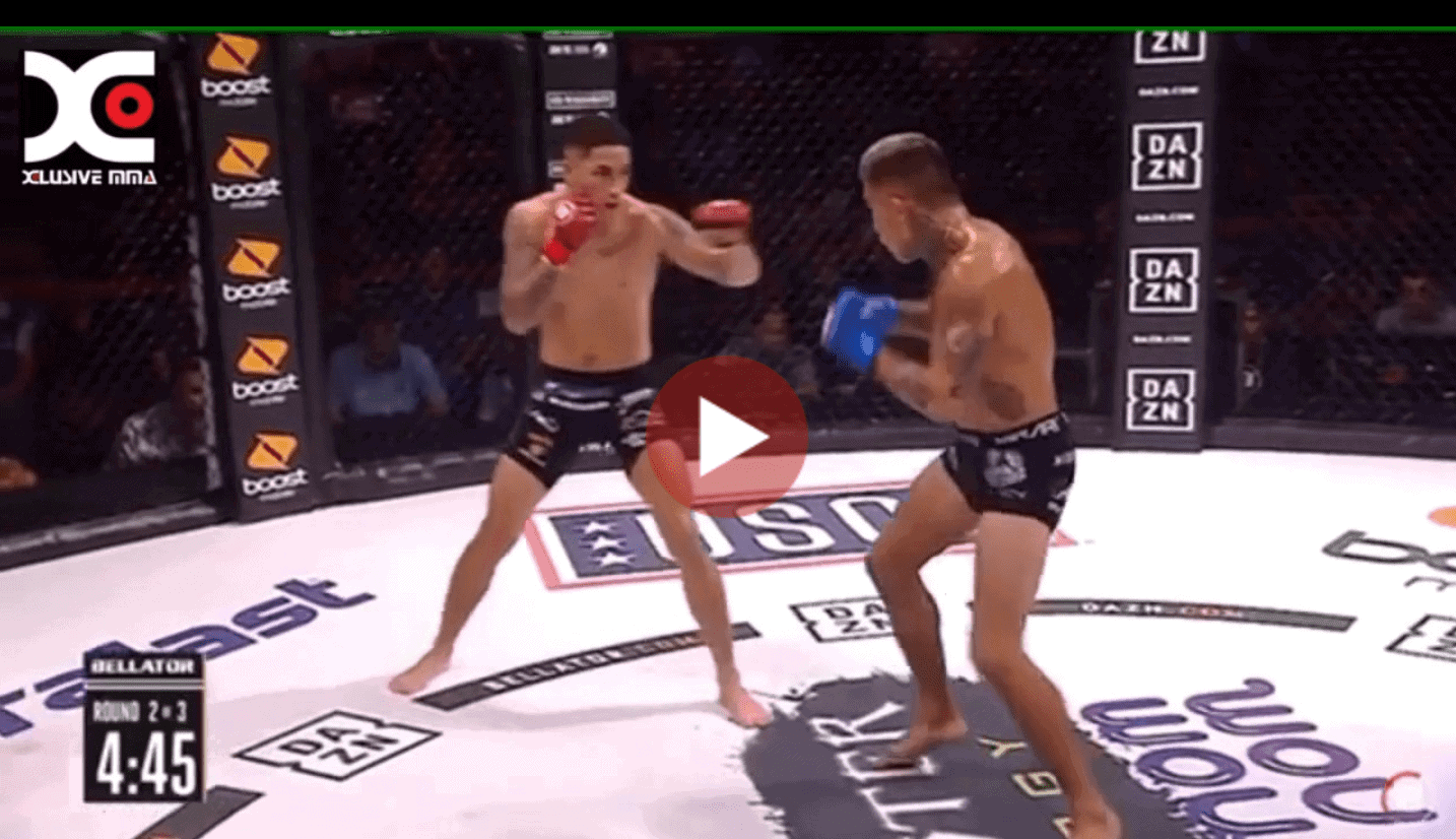 zach zane vs nainoa dung