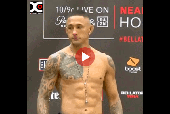 Toby Misech highlights