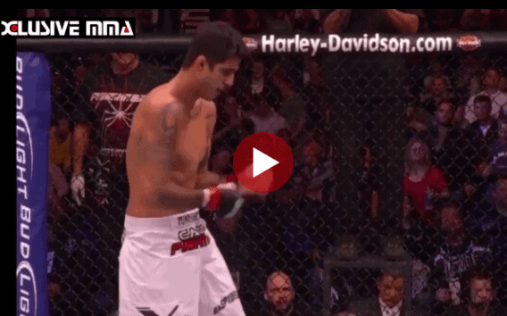 Kendall Grove FIGHT HIGHLIGHTS