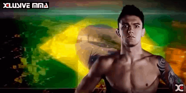 Bruno Pucci Fight Highlights