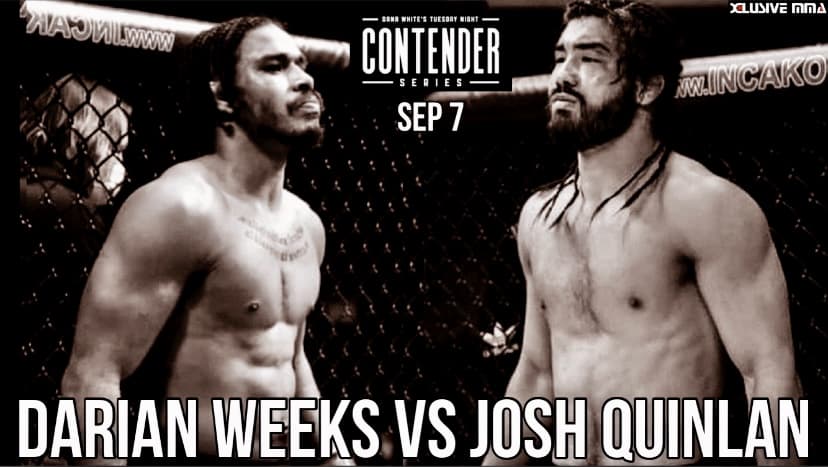 Josh Quinlan Darian Weeks Dana White Contender Series