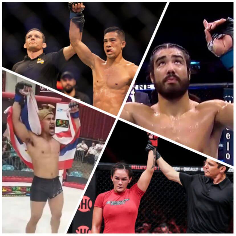 Hawaii fighters went 4-0 yesterday in UFC, Bellator, and Arena Cage Wars.